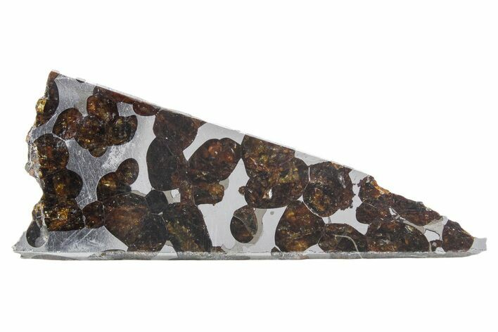 Polished Sericho Pallasite Meteorite ( g) Slice - Kenya #348926